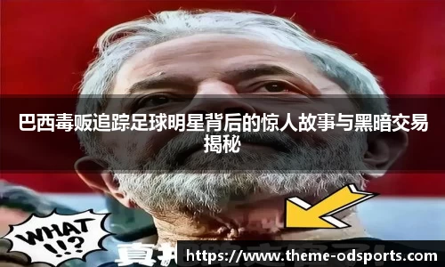 OD体育官方网站